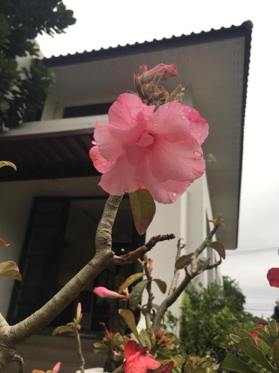 Baan Nan B&B Hotel Esterno foto